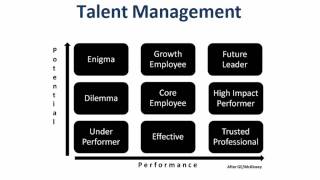 Unveiling the performance and potential matrix - \