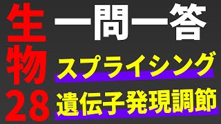 【生物 一問一答】スプライシング・遺伝子発現調節【第28講】*