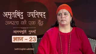 अमृतबिंदु उपनिषद् - अमरत्व की एक बूँद l AV Ep 1595 l Daily Satsang l 3rd July 22 |Anandmurti Gurumaa