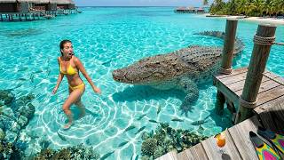 Unbelievable Moments Captured on CCTV 😲 | You Have to See This
