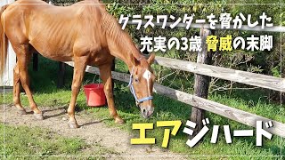 【エアジー】最優秀スプリンターを受賞した名馬♪エアジハード