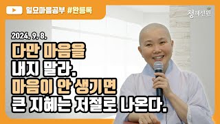 2024.09.08. [청혜선원] 일요공부ㅣ완릉록 제78회 “다만 마음을 내지 말라. 마음이 안 생기면 큰 지혜는 저절로 나온다. \