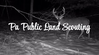 Locating A Giant PA Public Land Buck ( Public Land Scouting )