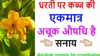 बहोत ही किंमती पौंधा । सनाय के पत्ती के फायदे  .  Information about Alexandrian Shrub. RC Aanjana