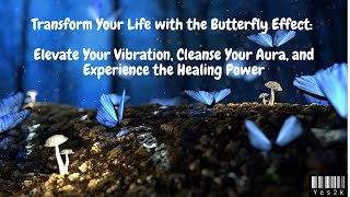 Transform Your Life with the Butterfly Effect: Elevate Your Vibration, Cleanse Your Aura | Healing