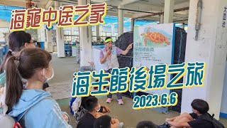 【生活紀錄】海生館後場之旅 參訪海龜中途之家