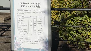 2024年11月～12月に虹の橋を渡った動物たち【‎2025年‎1月22日】【上野動物園】