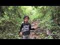 kodikuthimala waterfall forest journey