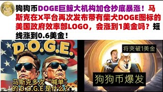 狗狗币DOGE巨鲸大机构加仓抄底暴涨！马斯克在X平台再次发布带有柴犬DOGE图标的美国政府效率部LOGO，会涨到1美金吗？短线涨到0.6美金#DOGE币#马斯克狗狗币#DOGE行情分析