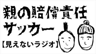 子供が蹴ったボールで事故、親の賠償責任認めなくてよい！当然だ！の巻