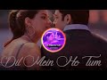 Dil Mein Ho Tum ☺️ | 2k19 Love Mix | Dj Saurabh From Mumbai |