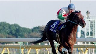 第13回　ジャパンカップ （ＧⅠ）　レガシーワールド　セン４　57　河内洋　1993.11.28　　出走馬：コタシャーン、ウイニングチケット、スターオブコジーン、ミシル、ナイスネイチャ、アーバンシー他