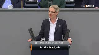 Wir brauchen FRIEDEN kein Krieg 🔥 | Alice Weidel mit klarer Ansage im Bundestag