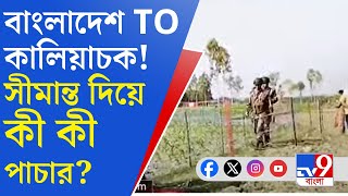 India Bangladesh Border: কালিয়াচকে অপরাধের কানা গলি দিকে দিকে?