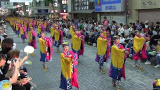 よさこい全国大会(2018/8/12)「とらっくよさこい(ちふれ)」