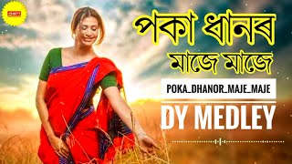 Poka dhanor maje maje (Lyrics) - DY Medley - old assamese song