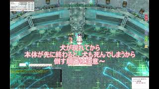 【RO】三日系：ヴェルナー、コルメモ、ビジョウをソロ攻略できる様になってきた動画（メタリック湾）