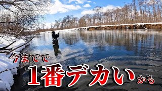 兄に過去1番の大物HIT！？湿原河川でのアメマス釣り。