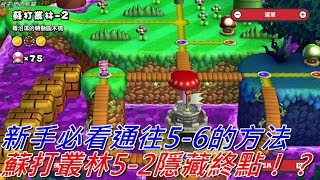 地方熊貓 New 超級瑪利歐兄弟U 蘇打叢林5-2 隱藏終點 | New Super Mario Bros. U Deluxe