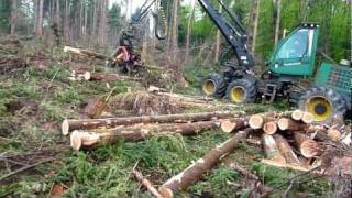 Timberjack 1270D im Windwurf