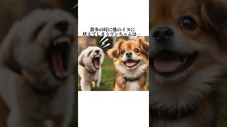 ちょw犬の秘密が可愛すぎww見るだけで犬が好きになる可愛すぎる秘密5選🤫