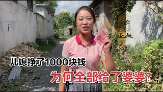 【大力与小贝】安徽儿媳挣了1000块钱，为何全部给了婆婆？这儿媳真的太孝顺