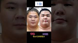 幕内力士と顔が似ているランキングトップ３！！　#大相撲 　#sumo 　#宇良　　#琴櫻　#欧勝馬　#shorts　#似すぎて感動