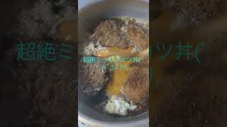 魔法陣グルグル超絶ミックスカツ丼(;ﾟ∀ﾟ)=3ﾊｧﾊｧ