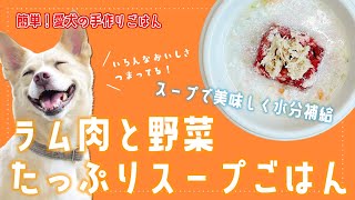 【簡単手作り犬ご飯】ラム肉と野菜たっぷりスープごはん【帝塚山ハウンドカム】