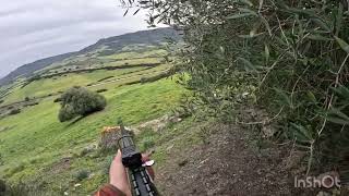 Caccia al cinghiale castelsardo, Sardegna, cinghiale al recupero 🐗