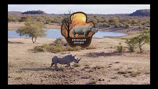 Rhinoland Safaris Showreel 2019