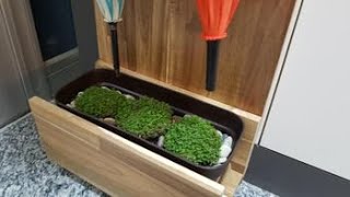 [DIY] 장마철 필수품 ☂️ 화분에 물 주는 우산꽂이! Flowerpot Umbrella Stand