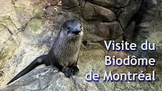 Visite au Biodôme de Montréal