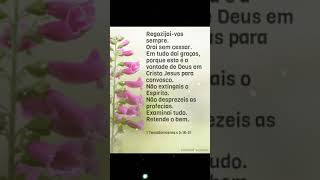 1 Tessalonicenses 5:16-21 Palavra Revelada de Deus para Você Alegre-se Sempre Tudo daí Graças orando