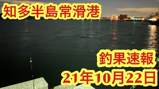 【愛知県釣り】知多半島！常滑港！釣果速報！21年10月22日！