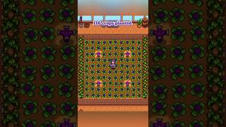 The BEST Greenhouse Layouts in Stardew Valley! #stardew