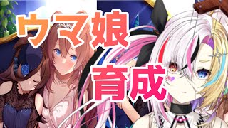 【ウマ娘】ウマ娘の新シナリオか…育成だな！2周年おめ！