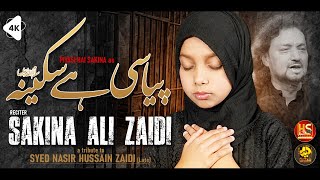 Pyasi Hai Sakina s.a | Sakina Ali Zaidi | New Noha 2022 | Muharram 1444|2022 | Hyderi Studio Canada