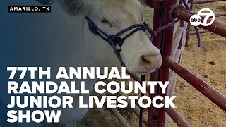 Randall County youth showcase skills on day one of the 77th annual junior livestock show