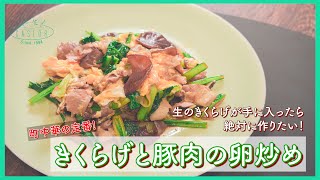 町中華の定番【きくらげと豚肉のたまご炒め】