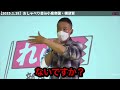 【山本太郎】自民党の王道を行く小泉進次郎。この人ではこの国は救えない。神奈川11区にれいわ新選組がカチコミ‼️ れいわ新選組 山本太郎 小泉一家