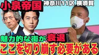 【山本太郎】自民党の王道を行く小泉進次郎。この人ではこの国は救えない。神奈川11区にれいわ新選組がカチコミ‼️ #れいわ新選組 #山本太郎 #小泉一家