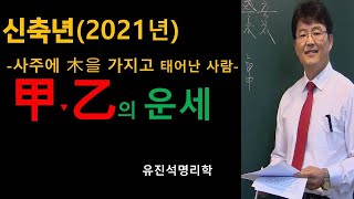 신축년2021년 사주에서 木을 가지고 태어나 사람의 운세 -오상유진석명리학강의