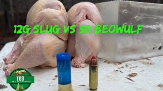 12g Slug VS 50 Beowulf | Ballistic Chicken Test!!!