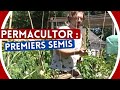 Permacultor : Premiers Semis