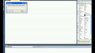 Your First Visual Basic application - Hello User