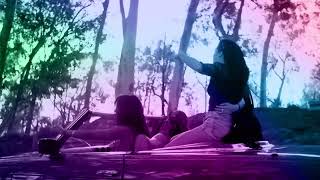 WebLink Browser Promotional Video