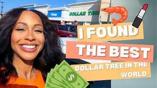 I found the best dollar tree in the world.