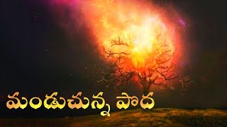 ఇశ్రాయేలు దేశంలోనే అరుదైన మండుచున్న పొద //Telugu Christian message//