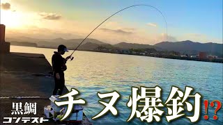 【チヌ・黒鯛】年無しを目指して無人島で黒鯛バトル！！【宮崎県】【乙島】【フカセ釣り】